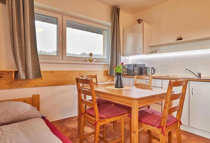 اتاق استاندارد سه نفره, Skipension