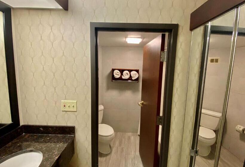 Номер Стандарт, Best Western Plus Houston Energy Corridor
