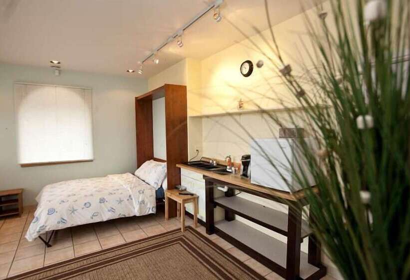标准间, Driftwood Inn