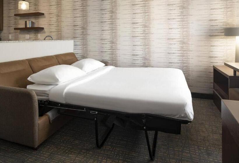 스탠다드 스튜디오 킹침대, Residence Inn Walnut Creek