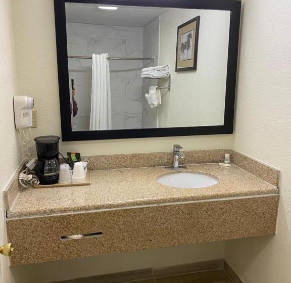 Номер Стандарт, Palomino Motel