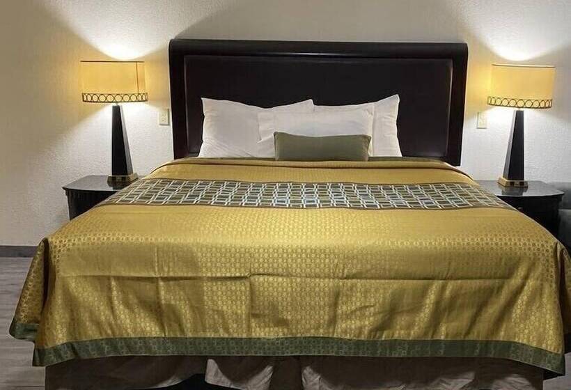 Номер Стандарт, Palomino Motel