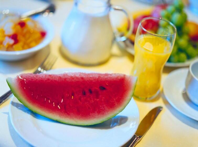バルコニー付きスタンダードルーム, Garni Hanslerhof  Urlaub Am Bauernhof