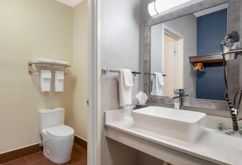 스탠다드 룸 킹사이즈 침대, Best Western Kokomo