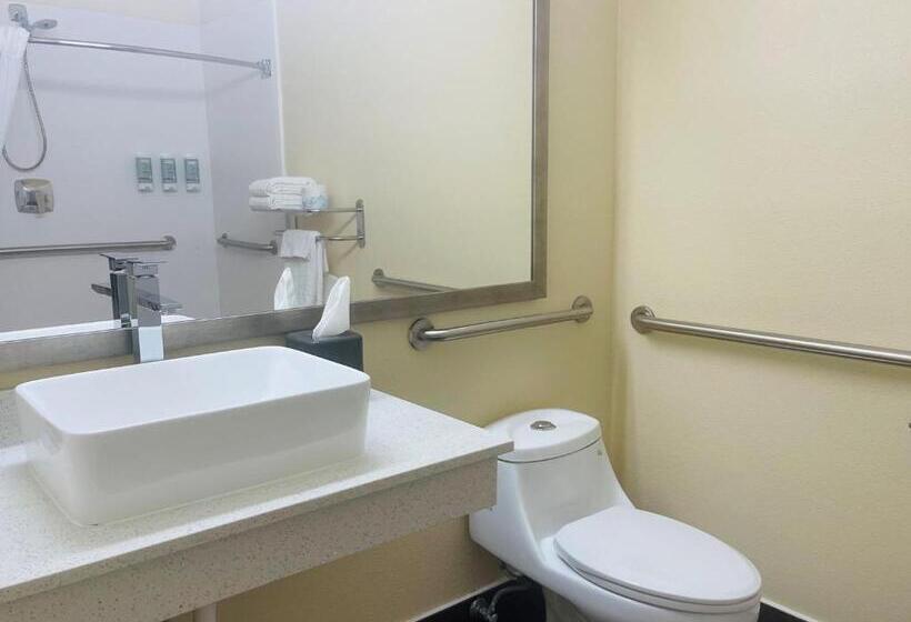 장애인을 위한 킹사이즈 침대 스탠다드 룸, Best Western Kokomo