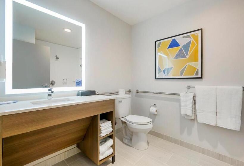 اتاق استاندارد با تخت بزرگ, Comfort Inn & Suites Houma