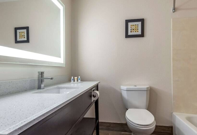 Номер Стандарт 2 Двуспальные Кровати, Comfort Inn & Suites Liverpool   Syracuse