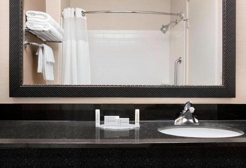 اتاق استاندارد با تخت بزرگ برای معلولان, Dubuque Inn & Suites