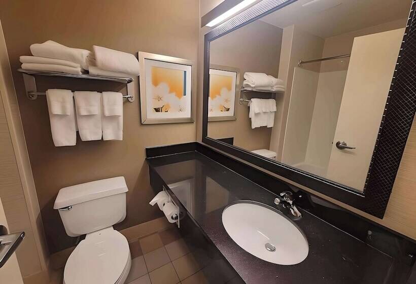 سوییت, Dubuque Inn & Suites