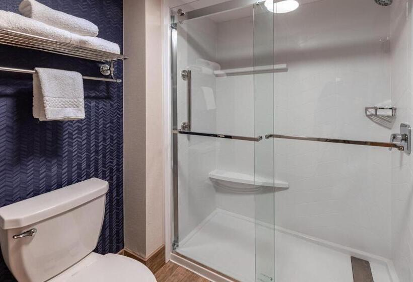 اتاق استاندارد با تخت بزرگ, Fairfield Inn By Marriott Evansville West
