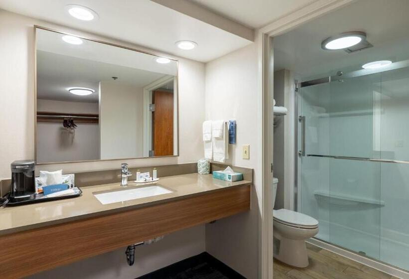اتاق استاندارد با تخت بزرگ, Fairfield Inn By Marriott Evansville West