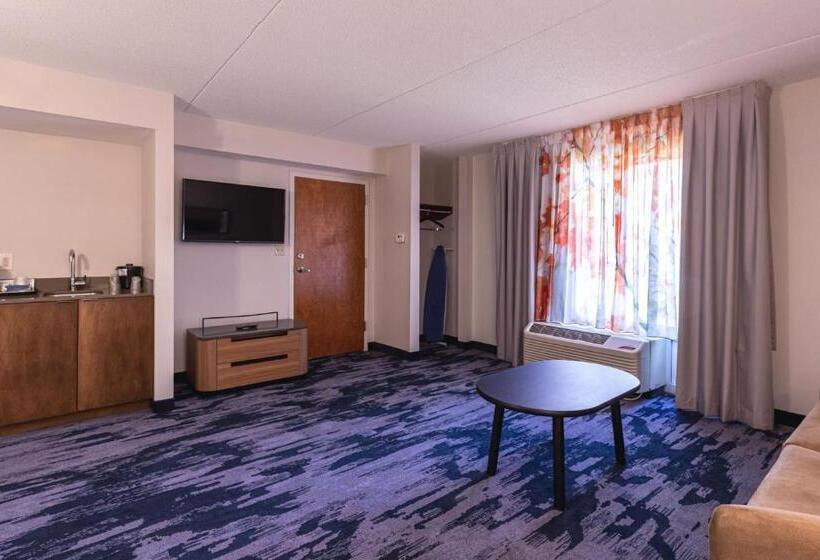 سوئیت با تخت بزرگ, Fairfield Inn By Marriott Evansville West