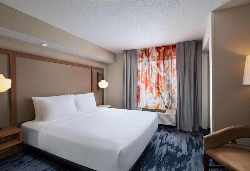 Номер Deluxe Кровать Кинг, Fairfield Inn & Suites Kansas City Airport