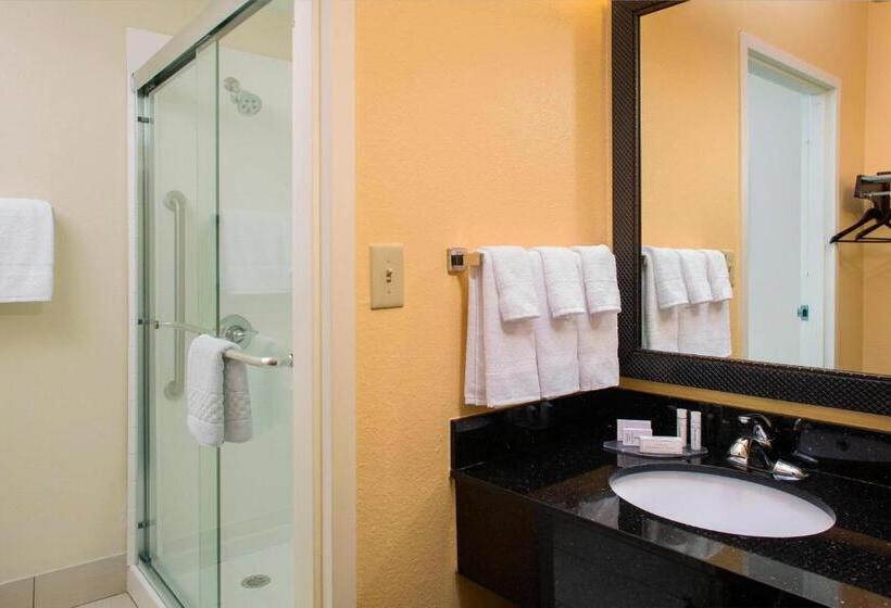 스탠다드 룸 킹사이즈 침대, Fairfield Inn & Suites Lafayette I10