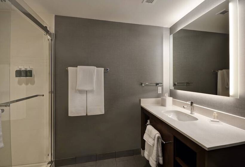إستوديو قياسى سرير مزدوج, Residence Inn By Marriott New Orleans French Quarter Area/cen B