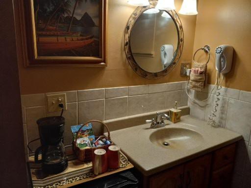 اتاق استاندارد با تخت بزرگ, Flamingo Motel