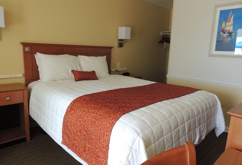 스탠다드 싱글 룸 싱글침대, Fleur De Lis Beach Motel