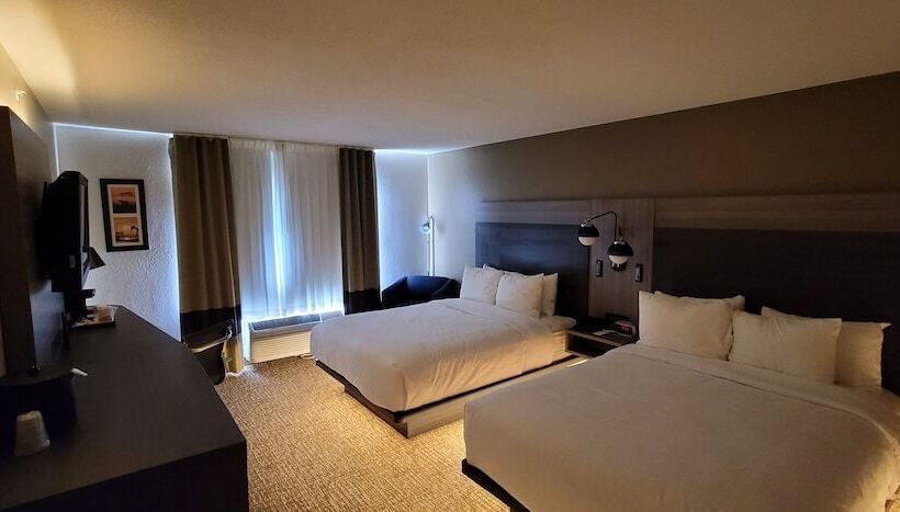带2个双人床的标准工作室, Comfort Inn & Suites North Dallasaddison
