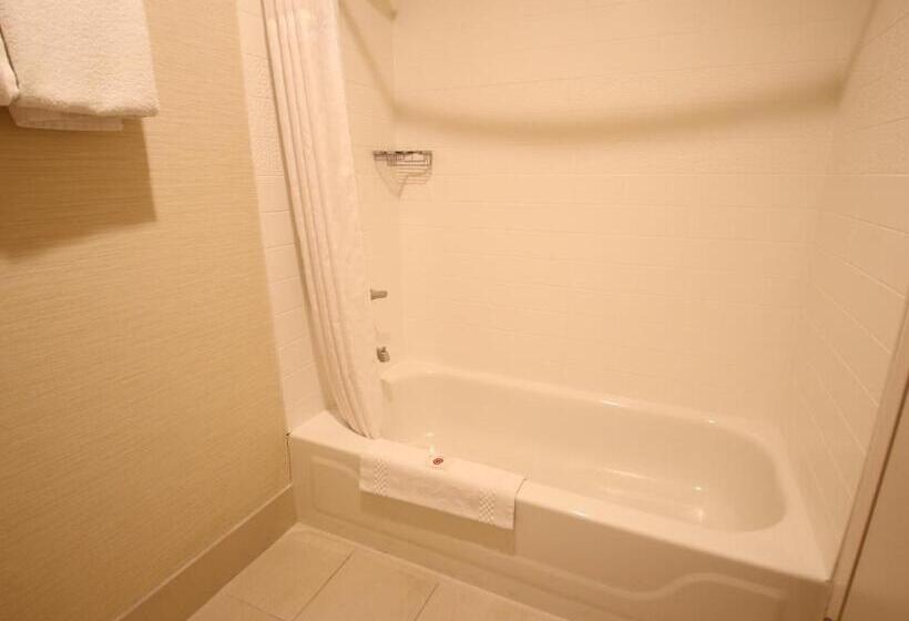 带大床的标准间, Comfort Inn & Suites North Dallasaddison