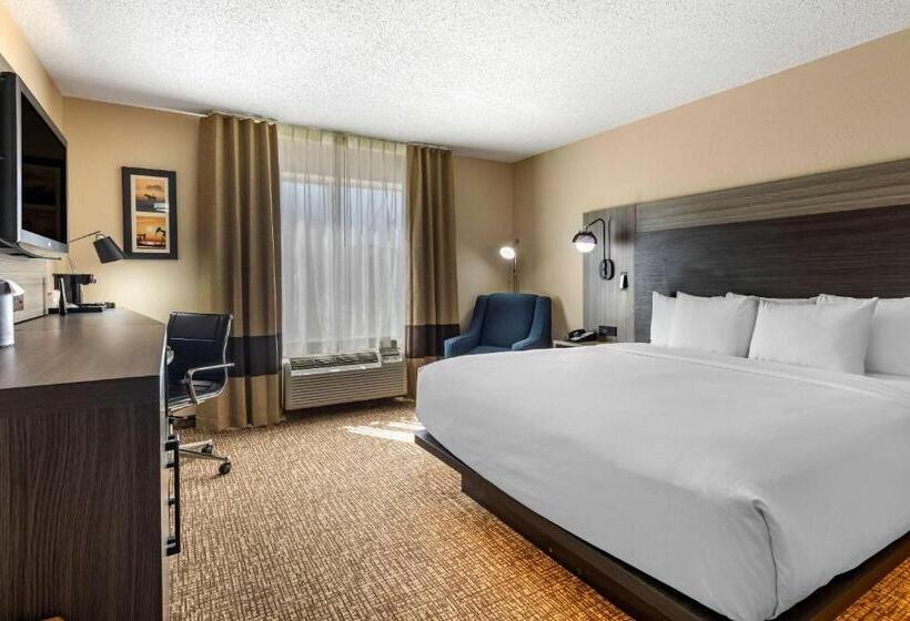带大床的标准间, Comfort Inn & Suites North Dallasaddison