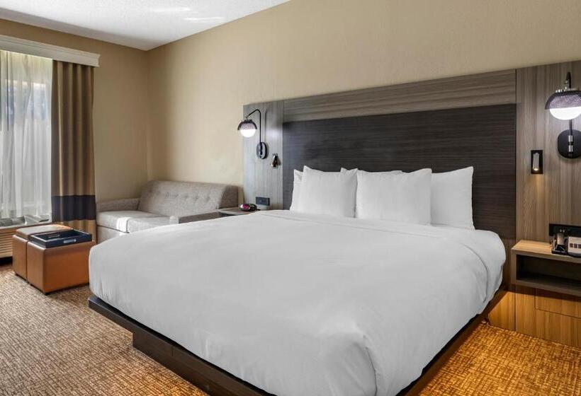 带大床的小型套房, Comfort Inn & Suites North Dallasaddison
