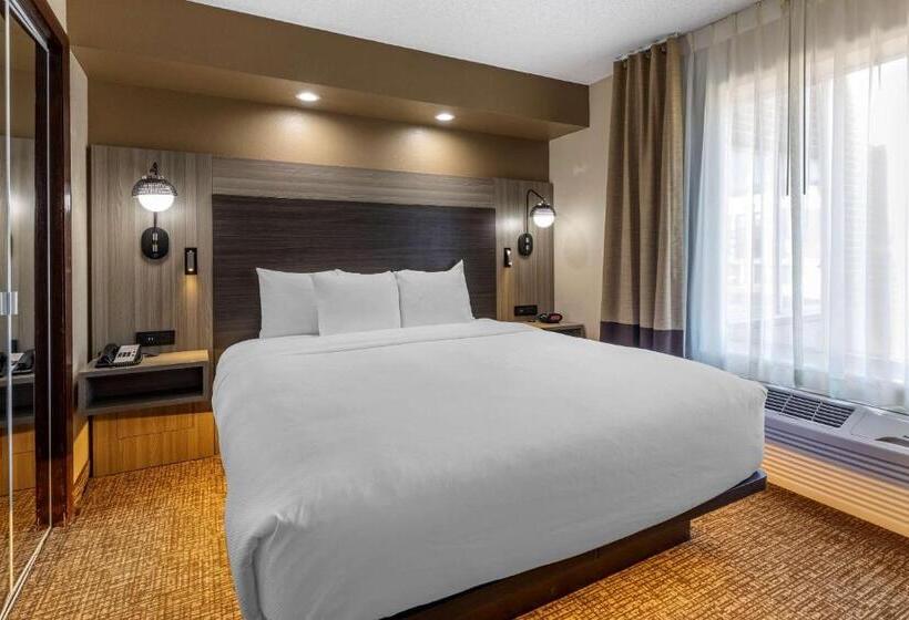 带大床的套房, Comfort Inn & Suites North Dallasaddison