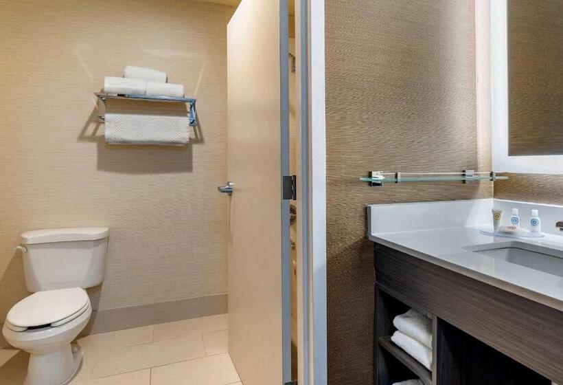 适合残疾人士使用的带超级大床的标准间, Comfort Inn & Suites North Dallasaddison