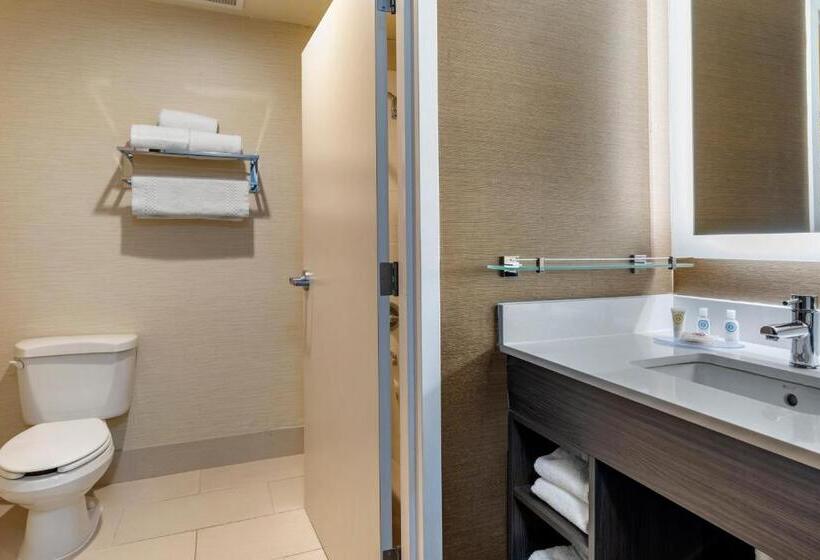 标准间, Comfort Inn & Suites North Dallasaddison