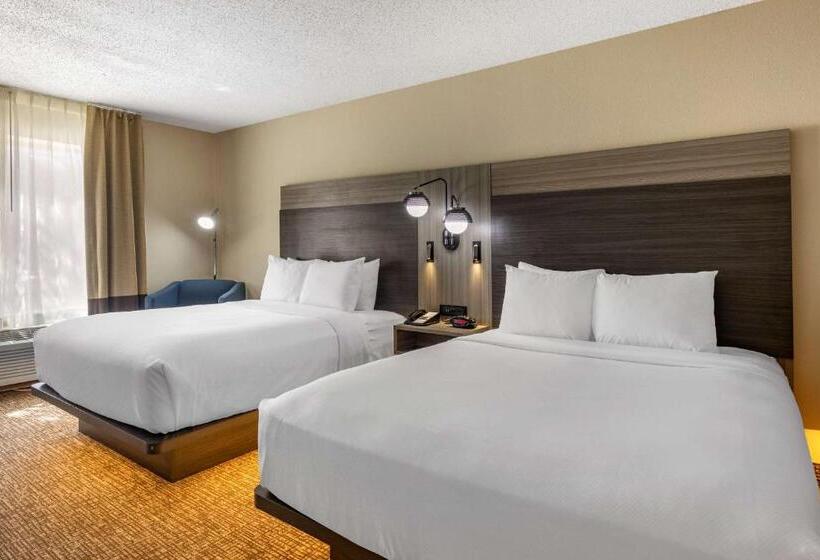 适合残疾人使用的标准间, Comfort Inn & Suites North Dallasaddison