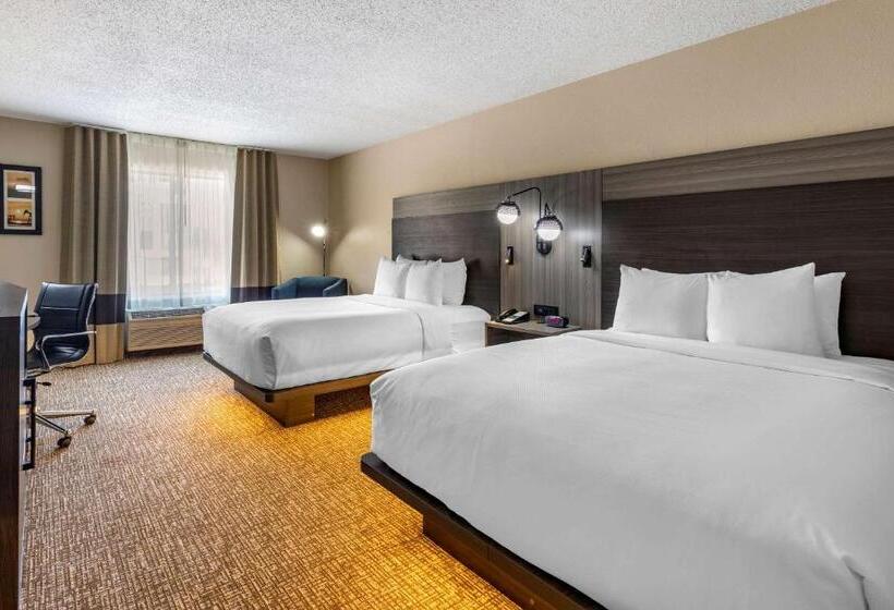 适合残疾人使用的标准间, Comfort Inn & Suites North Dallasaddison
