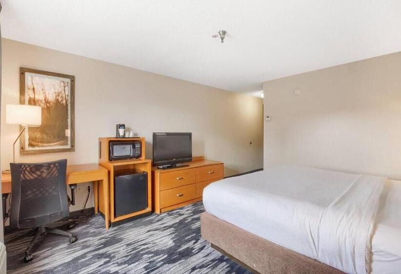 キングサイズベッドのスタンダードルーム, Fairfield Inn And Suites Mobile