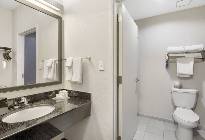 ２ダブルベッドのスタンダードルーム, Fairfield Inn And Suites Mobile