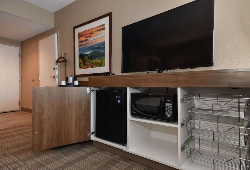 Номер Стандарт Адаптированный для Инвалидов, Hampton Inn Brevard