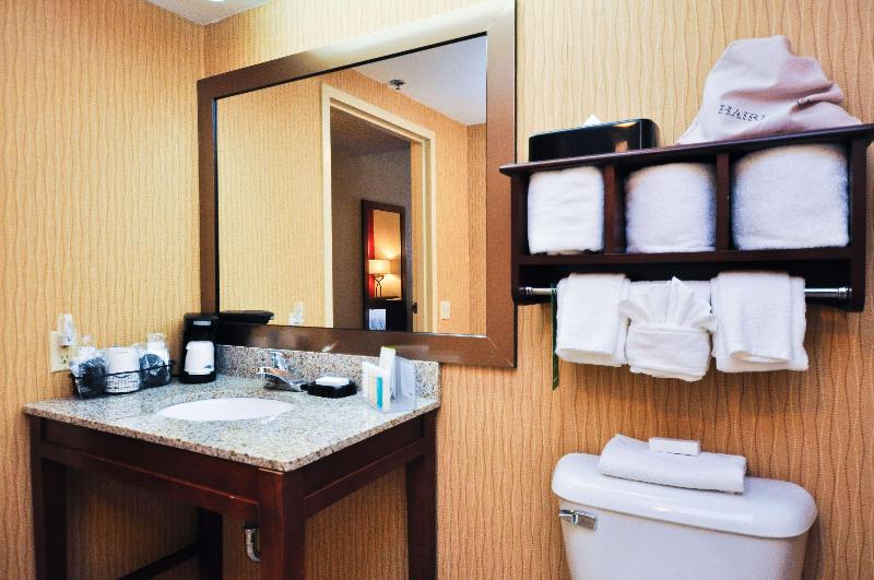 스탠다드 룸 킹사이즈 침대, Hampton Inn Carrollton