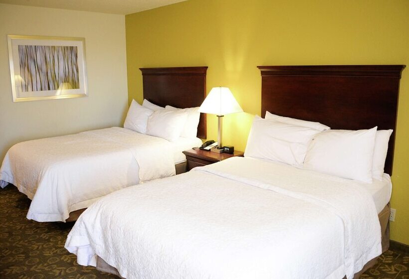 Номер Стандарт 2 Двуспальные Кровати, Hampton Inn Frankfort