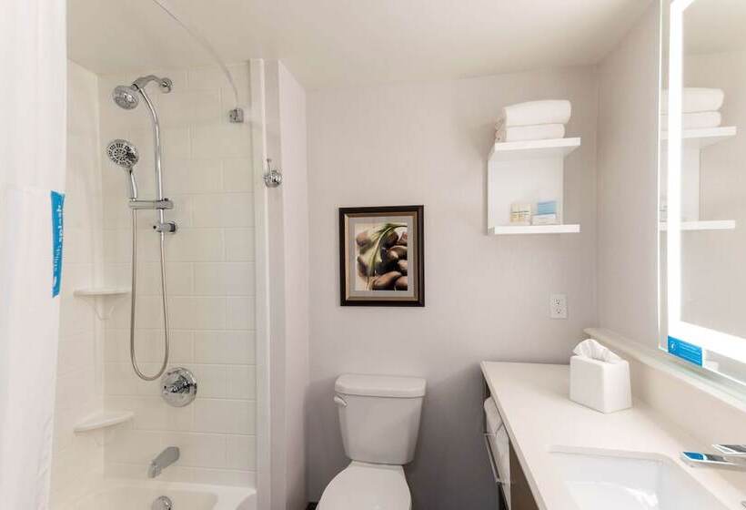 Люкс, Hampton Inn Holland