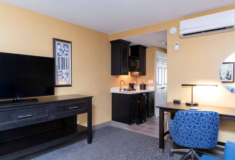 Люкс, Hampton Inn Holland