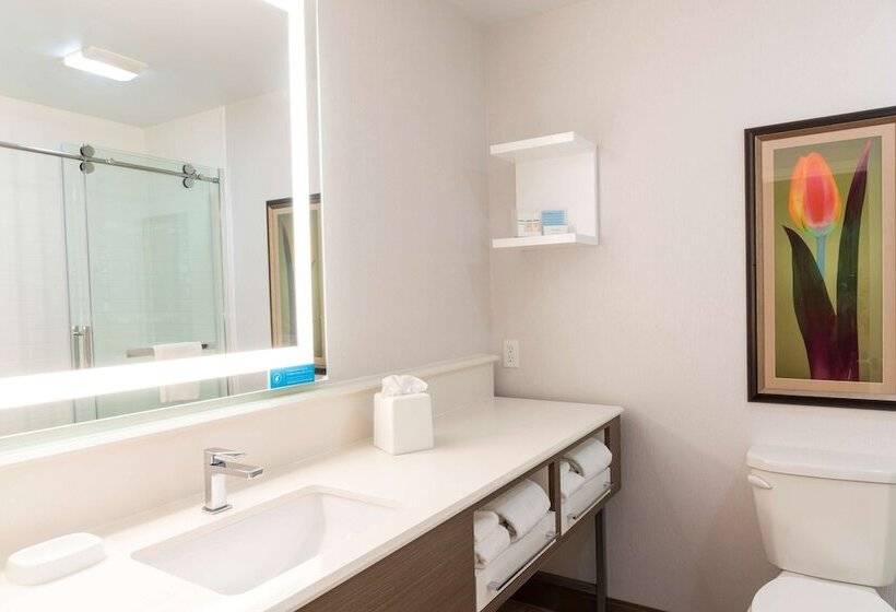 Люкс, Hampton Inn Holland