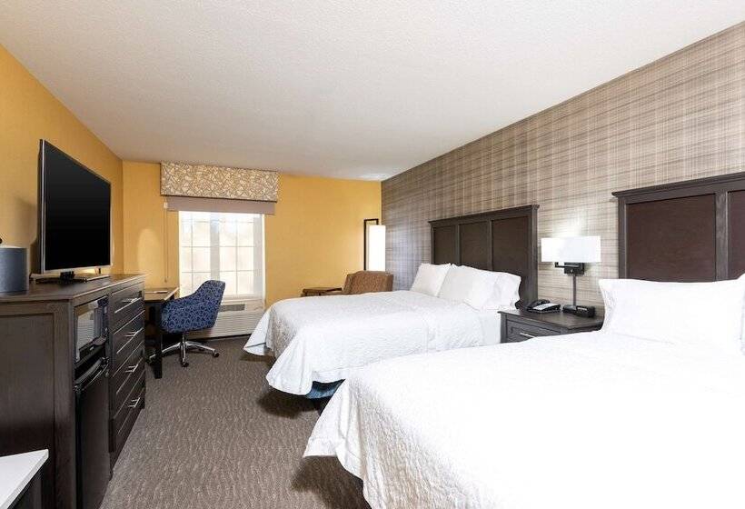 Номер Стандарт 2 Двуспальные Кровати, Hampton Inn Holland