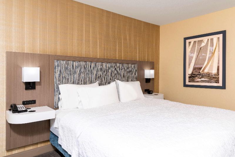 Люкс Кровать Кинг, Hampton Inn Holland