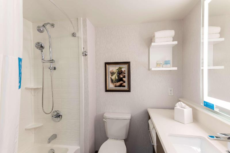 Номер Стандарт с Балконом, Hampton Inn Holland