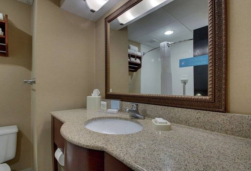 스탠다드 룸 더블 침대 2개, Hampton Inn Lebanon
