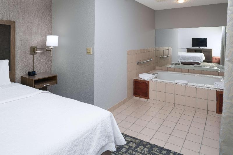 سوئیت با تخت بزرگ, Hampton Inn North Sioux City