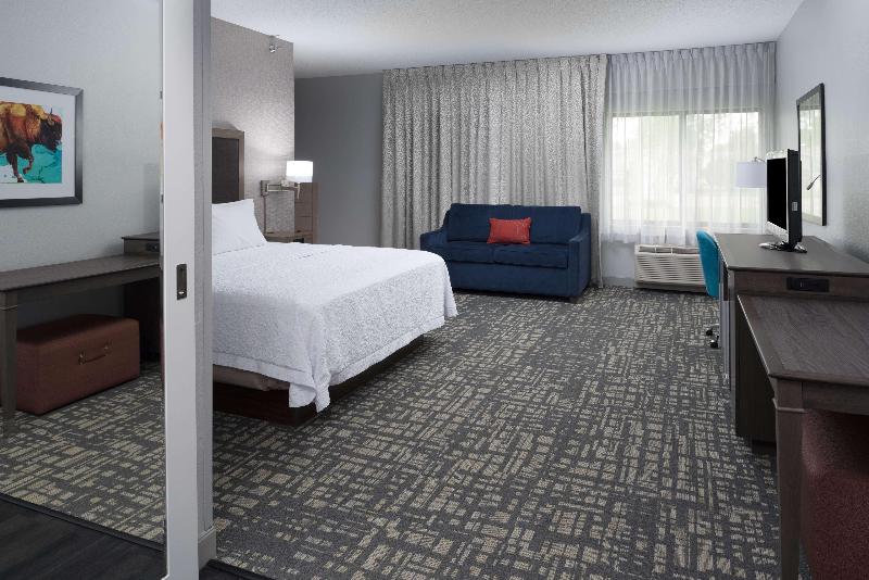 سوئیت با تخت بزرگ, Hampton Inn North Sioux City