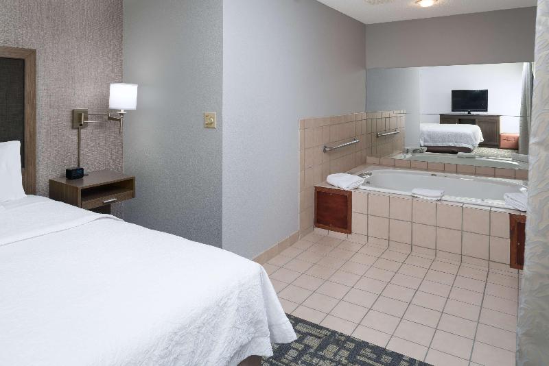 سوئیت با تخت بزرگ, Hampton Inn North Sioux City