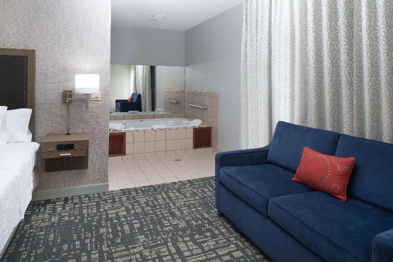 سوئیت با تخت بزرگ, Hampton Inn North Sioux City