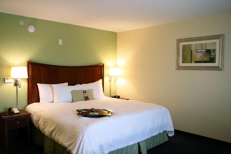 מיטת קינג בסוויטה, Hampton Inn & Suites Ft. Lauderdale Arpt/south Cruise Port