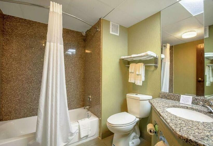 Стандартный Номер Кровать Кинг, Quality Inn Holly Springs South