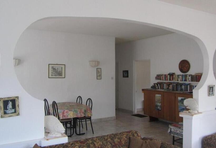 اتاق استاندارد, Dolphin Inn Guesthouse & Apartments