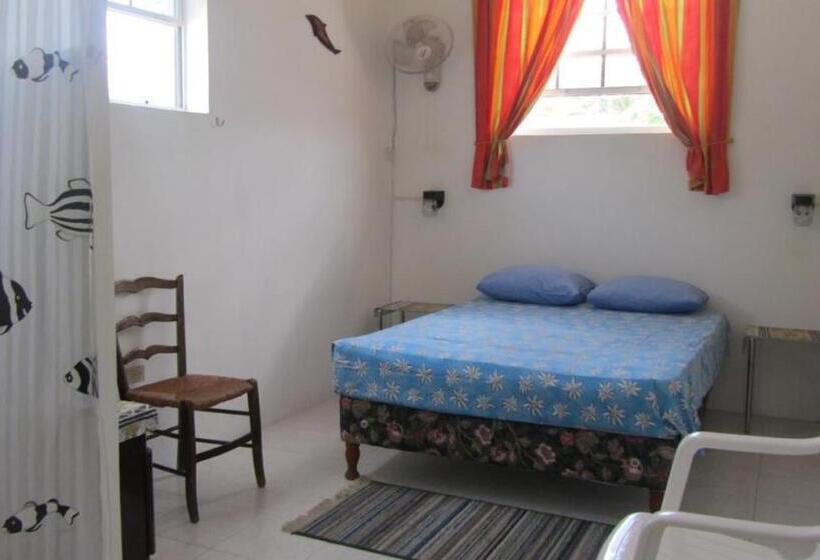 اتاق استاندارد یک نفره, Dolphin Inn Guesthouse & Apartments